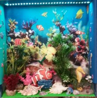 Aquarium Box